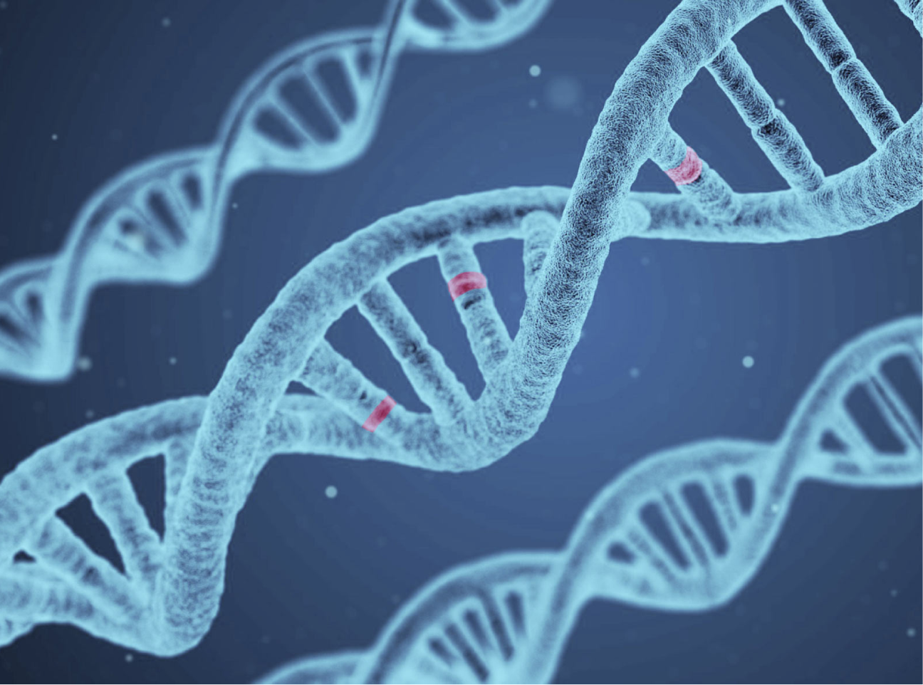Genetic Factors