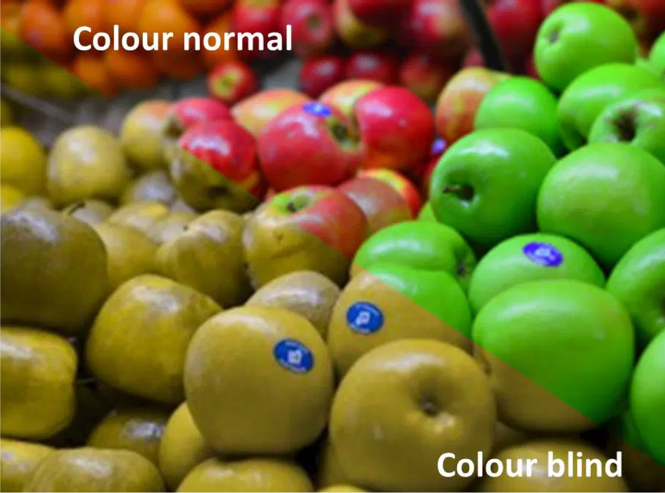 Color Blindness