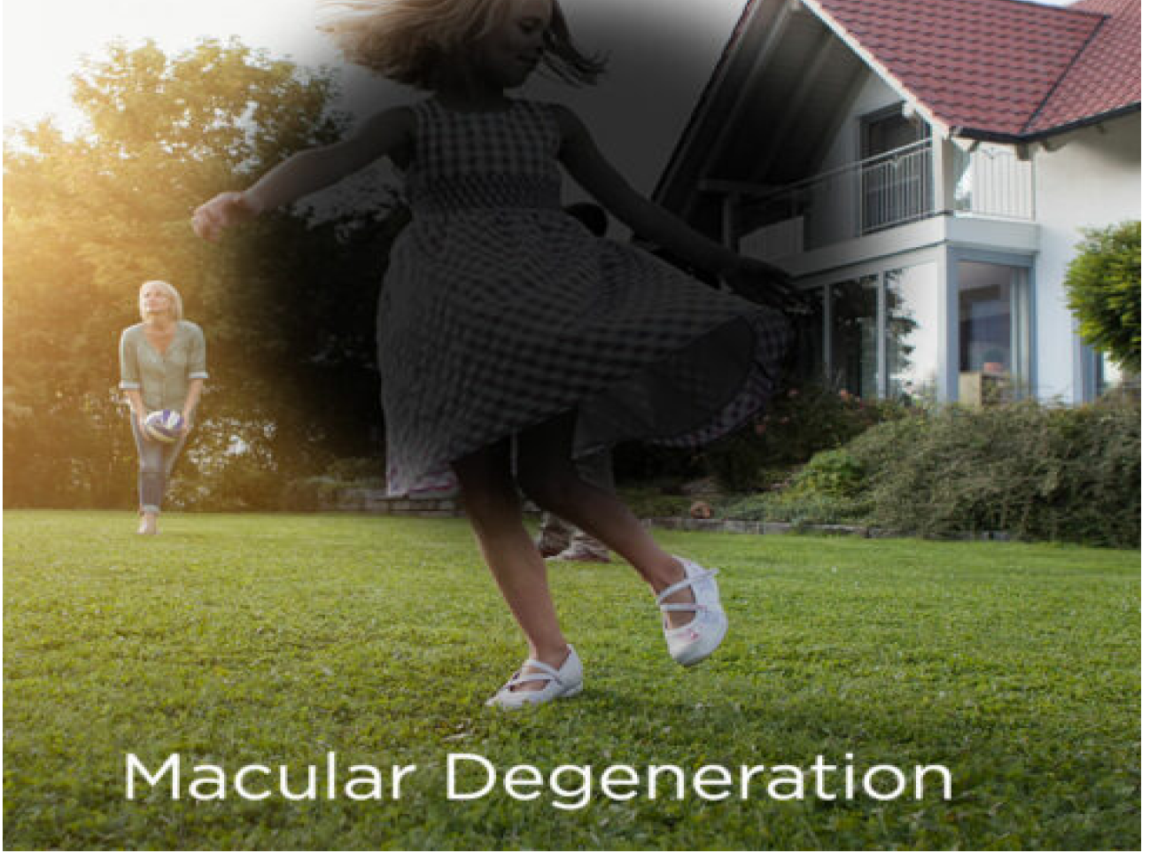 Aged Macular Degeneration (AMD)
